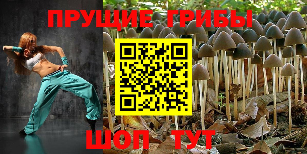 купить закладку  Галлюциногенные грибы мицелий  Карталы  Вход с VPN  Галлюциногенные грибы прущие грибы 